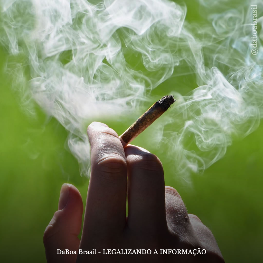O que faz você se sentir bem e “chapado” com a maconha?