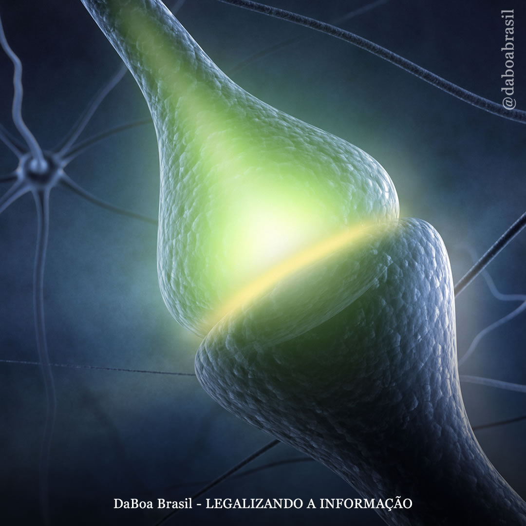 Os canabinoides da maconha e o sistema endocanabinoide
