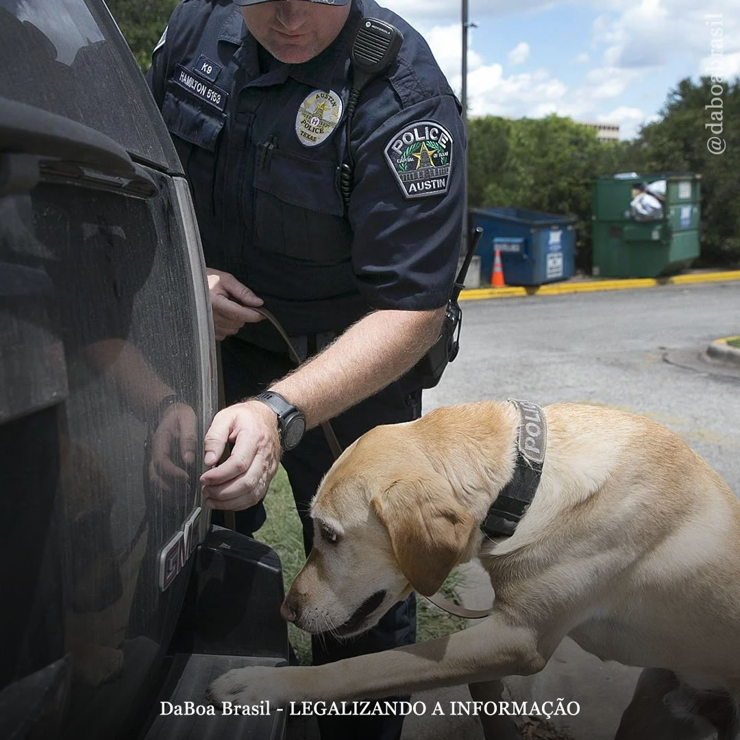 Polícia de Austin não vai mais prender por porte de maconha