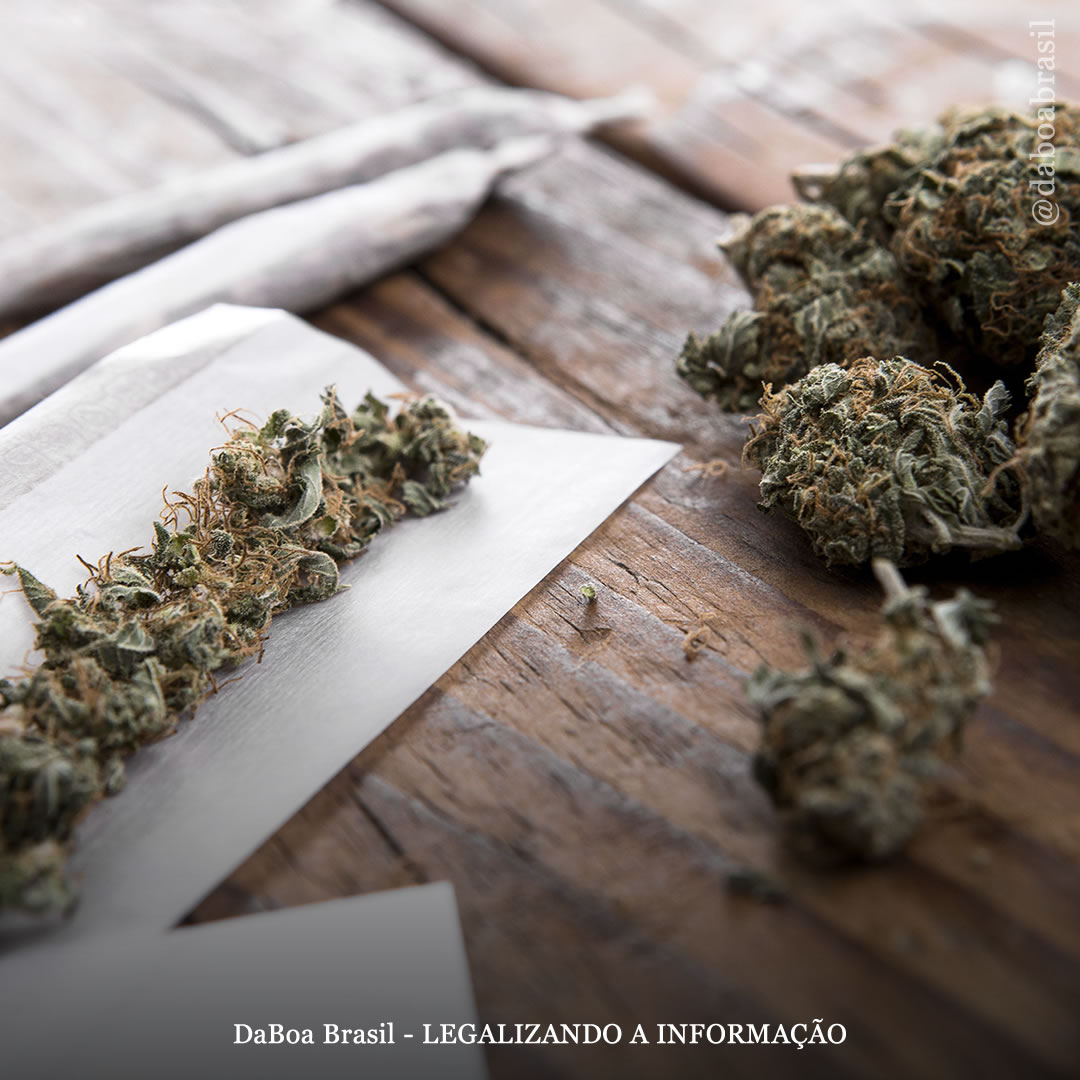 Projeto de uso recreativo da maconha passa pelo primeiro debate na Colômbia