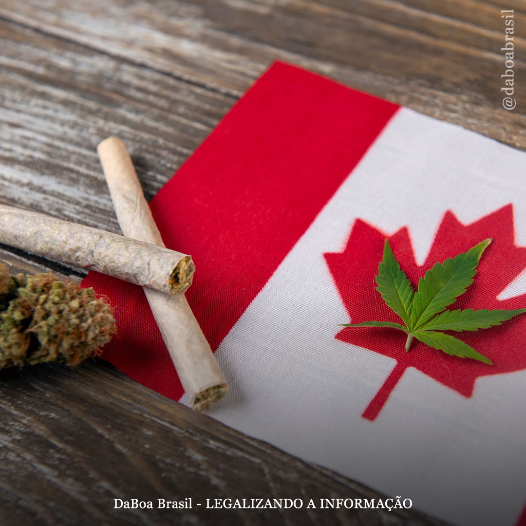 Província no Canadá reduz o preço da maconha para competir com o mercado ilegal