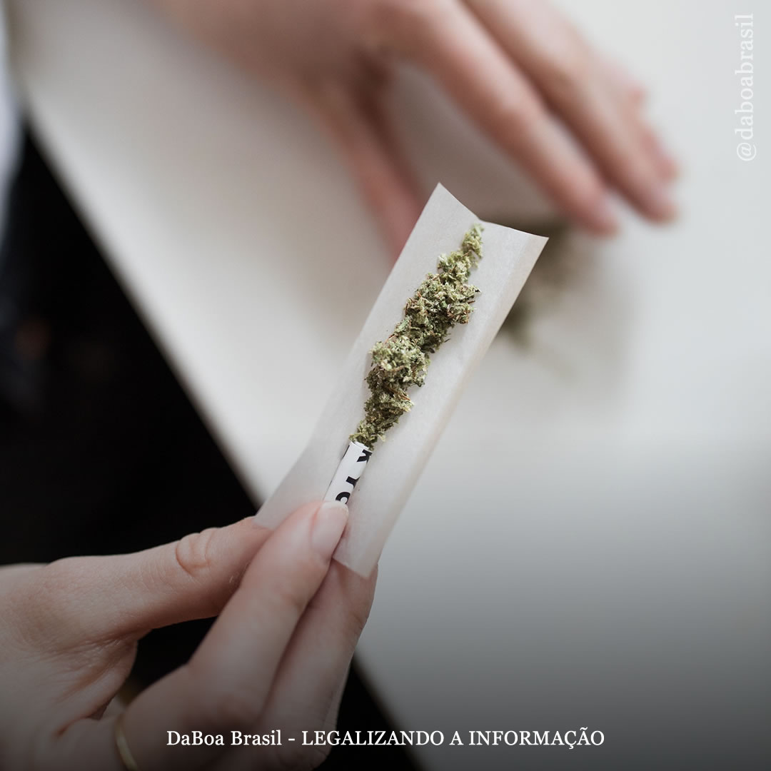 Quase metade dos usuários de maconha nos EUA tem mais de 40 anos