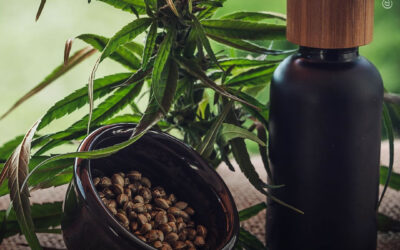 Queimando mitos: 5 verdades e 5 mentiras sobre o CBD