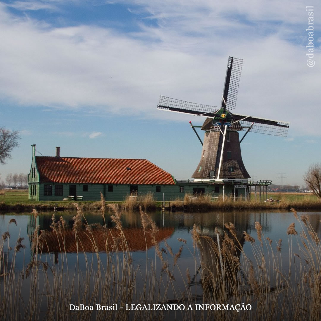 Restaurado na Holanda o único moinho de cânhamo do mundo