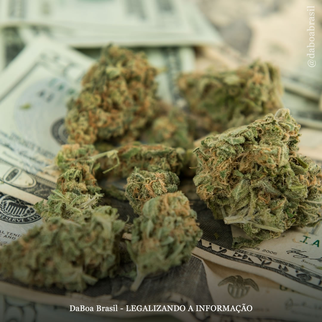 Vendas legais de maconha disparam nos EUA