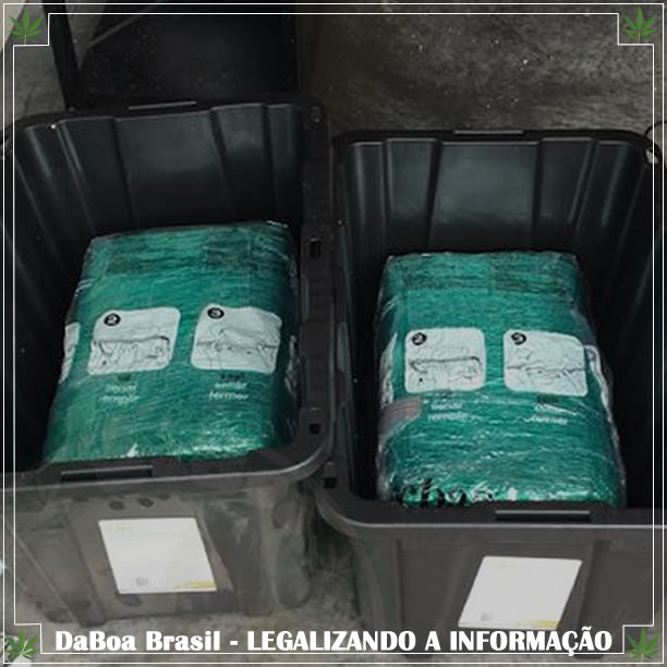 Amazon envia acidentalmente 30 quilos de maconha para um casal