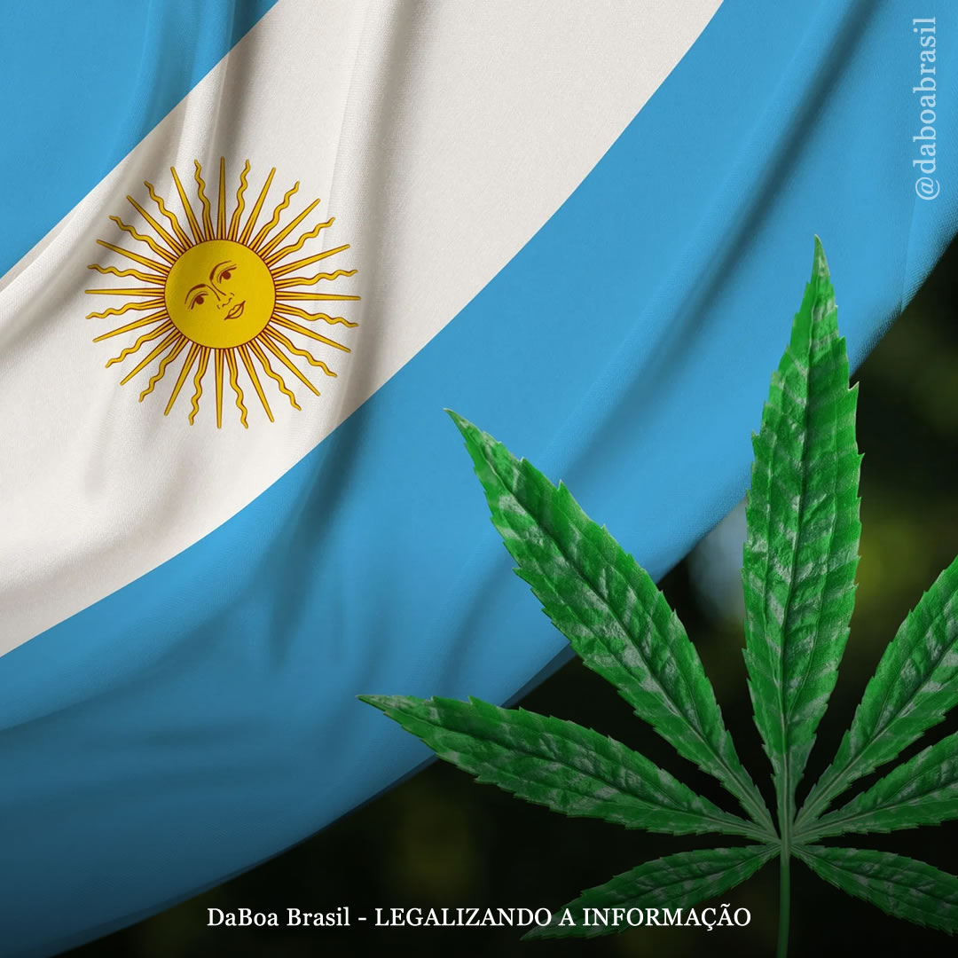 Argentina aprova o autocultivo de maconha para fins medicinais