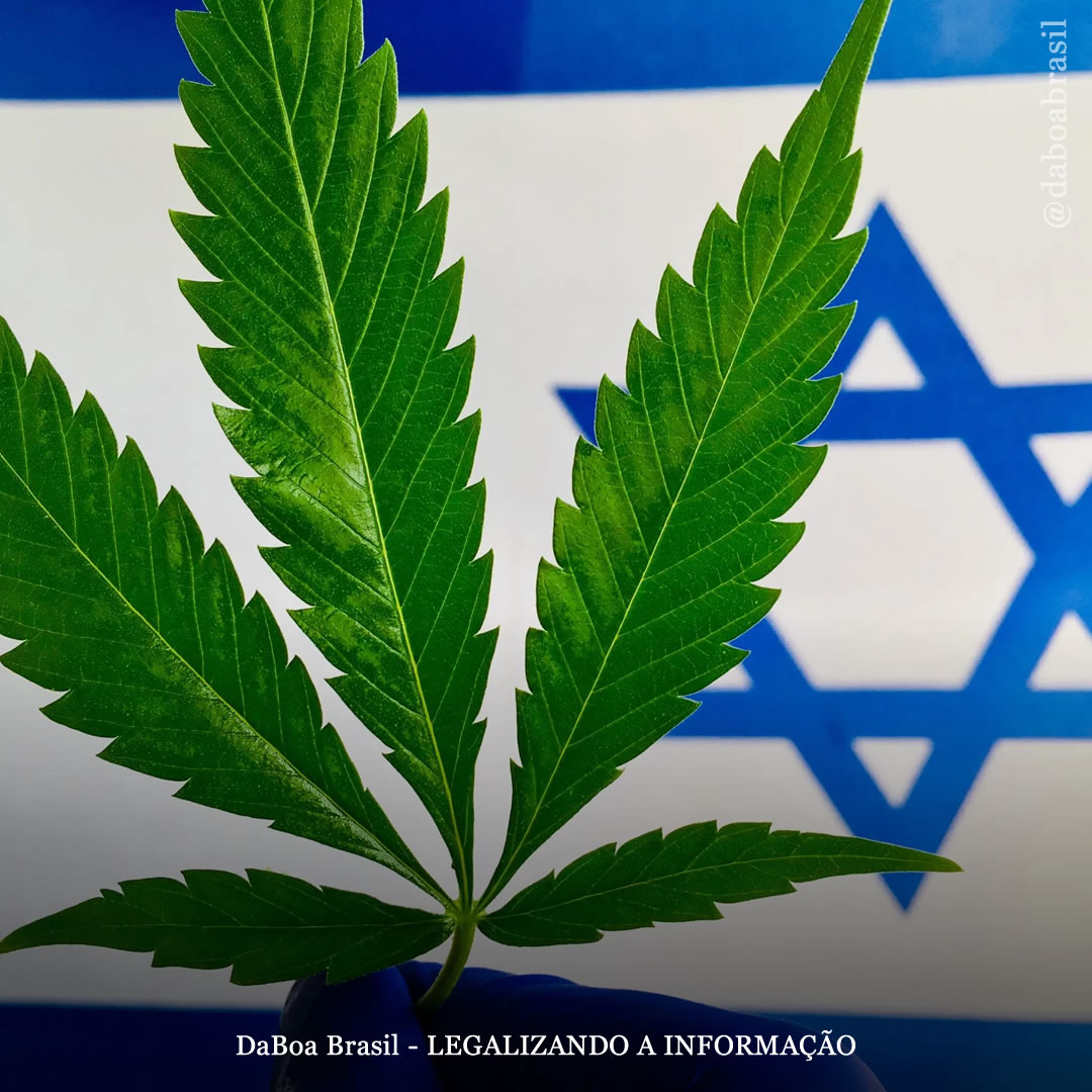 Comitê do Governo recomenda legalização total da maconha em Israel
