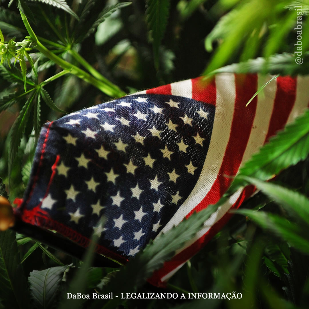 EUA votará pela legalização federal da maconha na próxima semana