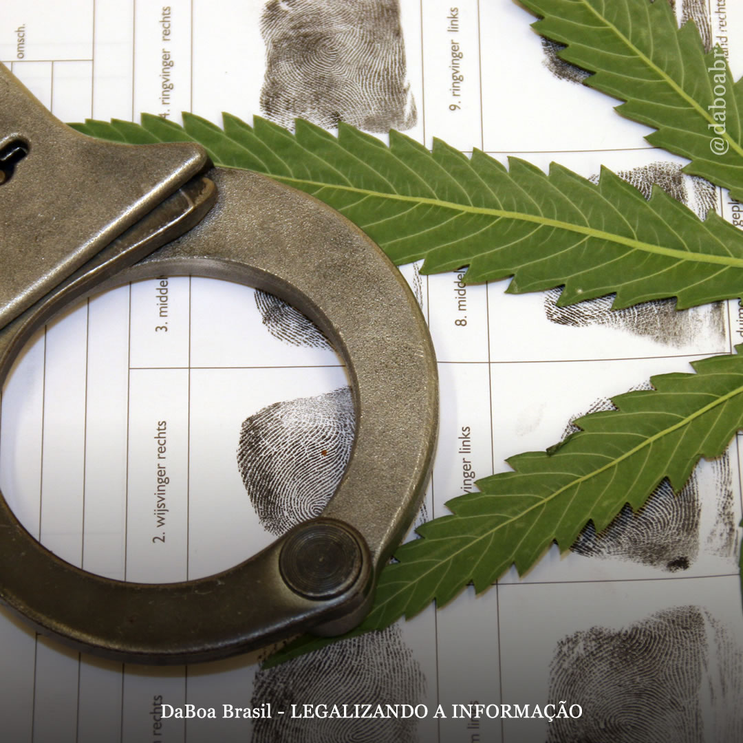 Illinois está usando impostos das vendas de maconha para eliminar condenações relacionadas à planta