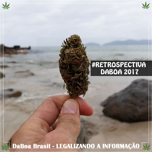 Retrospectiva 2017 – Mais um ano legalizando a informação
