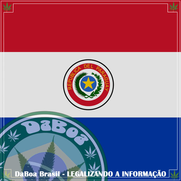 Senado Paraguaio a favor da maconha medicinal