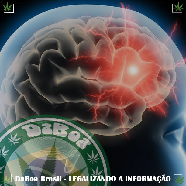 Usuários de maconha possuem um maior fluxo sanguíneo no cérebro