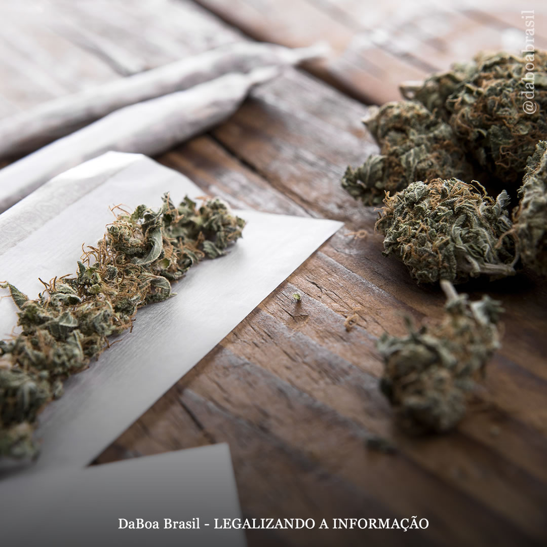 A maconha pode ajudar com problemas cardíacos e de circulação sanguínea