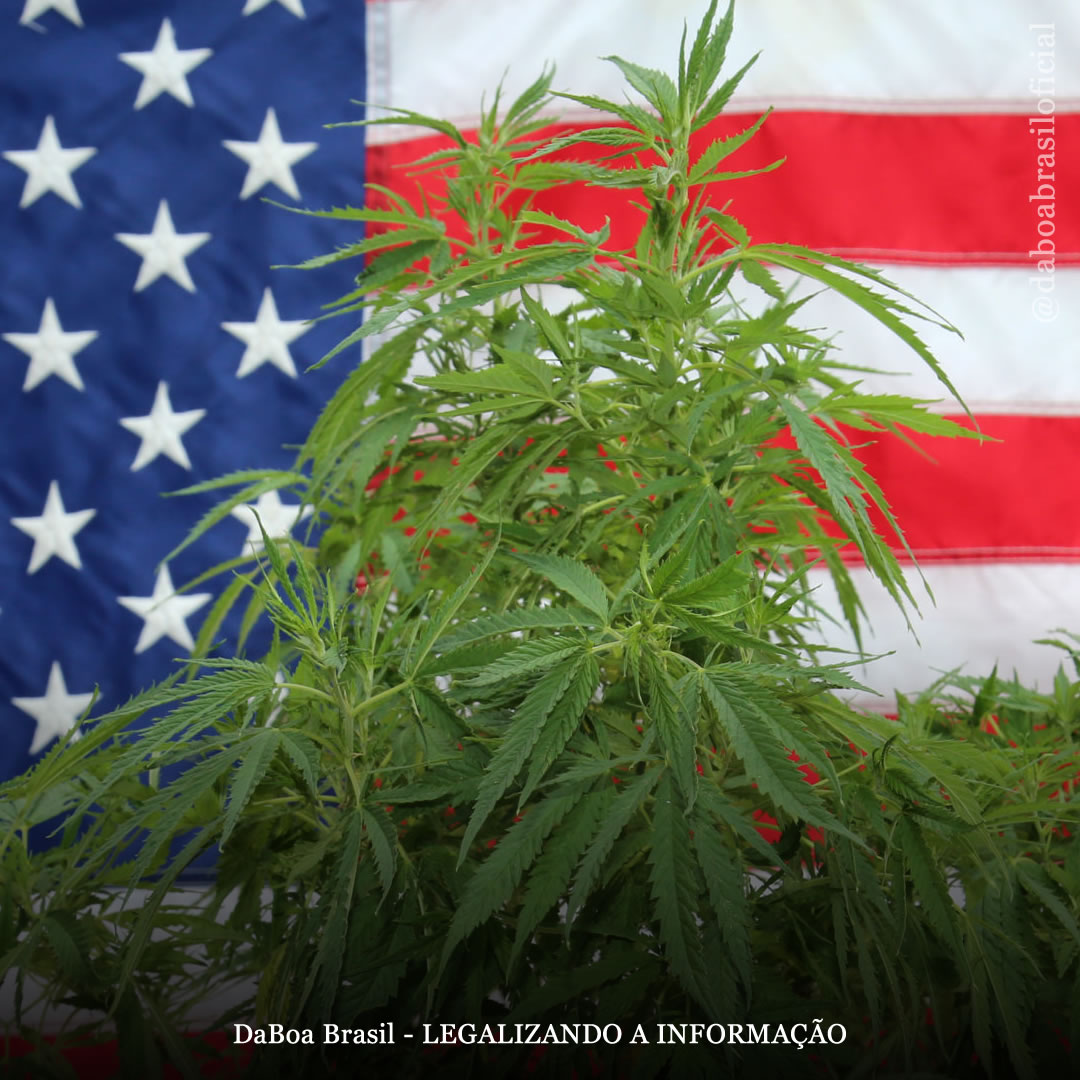 Câmara dos EUA aprova a legalização da maconha em nível federal