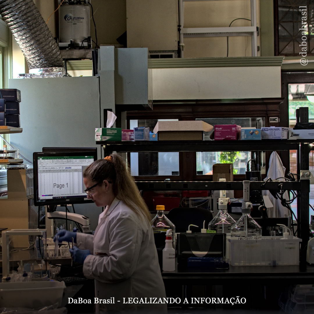 EUA: laboratório em Washington suspenso por falsificar resultados de THC