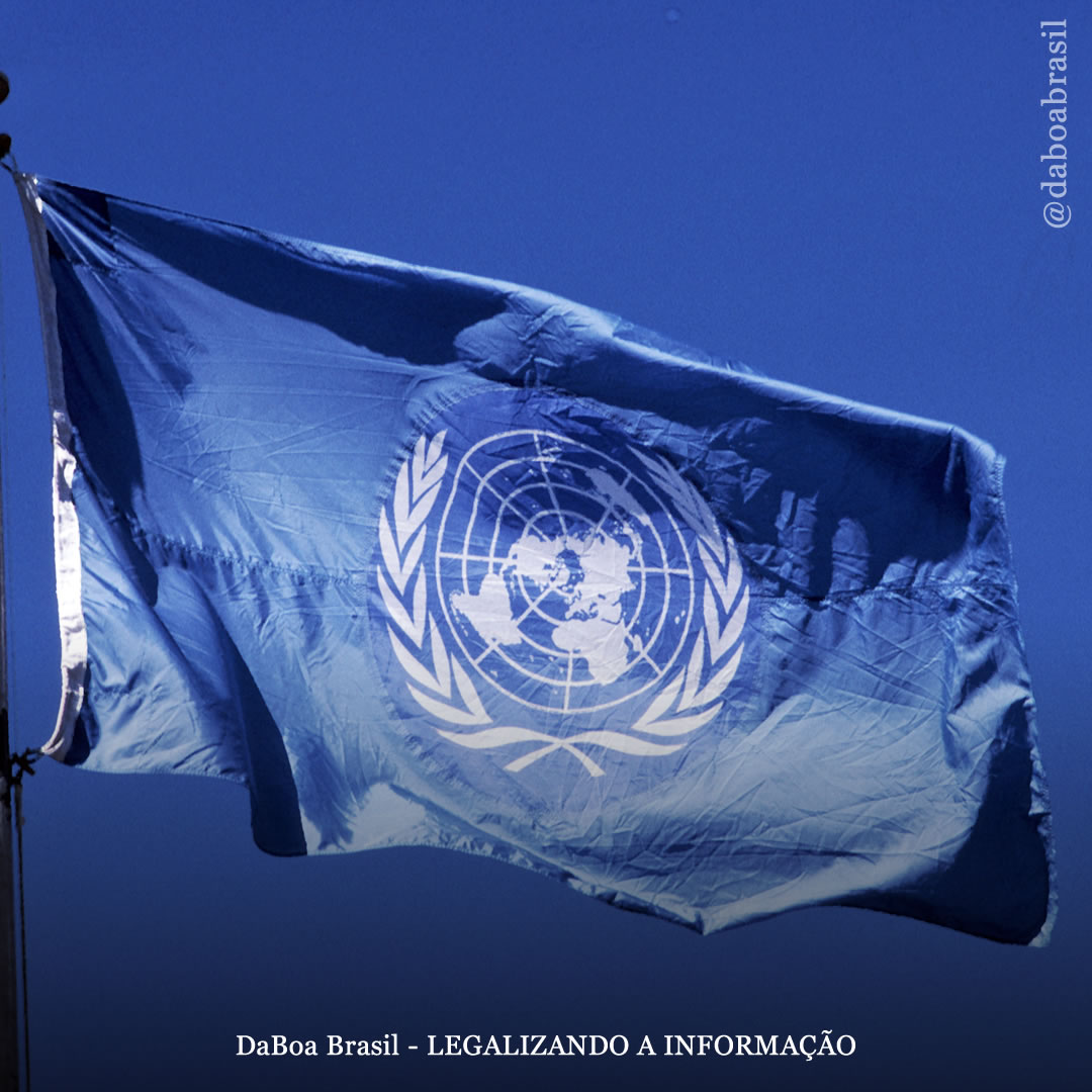 ONU reclassifica a maconha e reconhece sua utilidade terapêutica