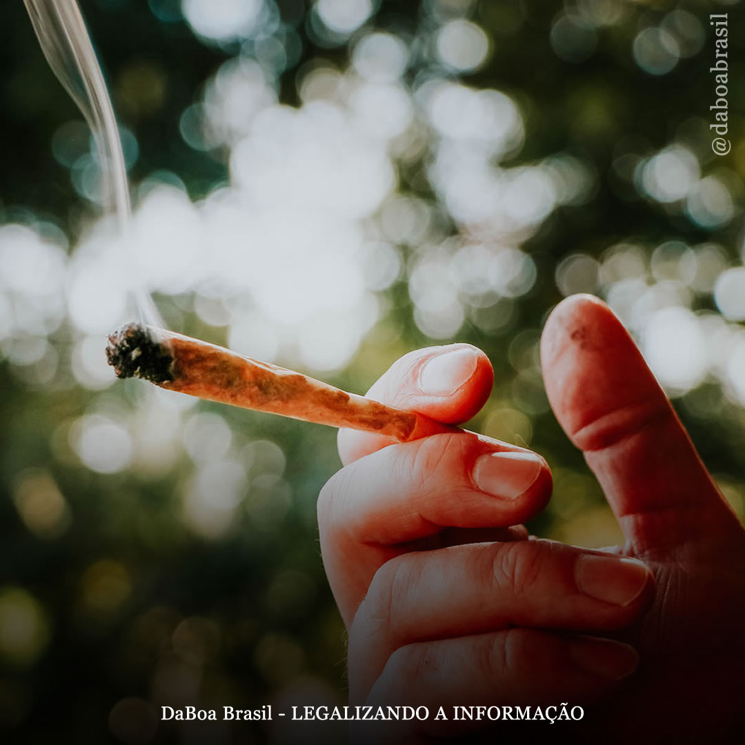 Redução de Danos: dicas para uma primeira experiência segura com a maconha