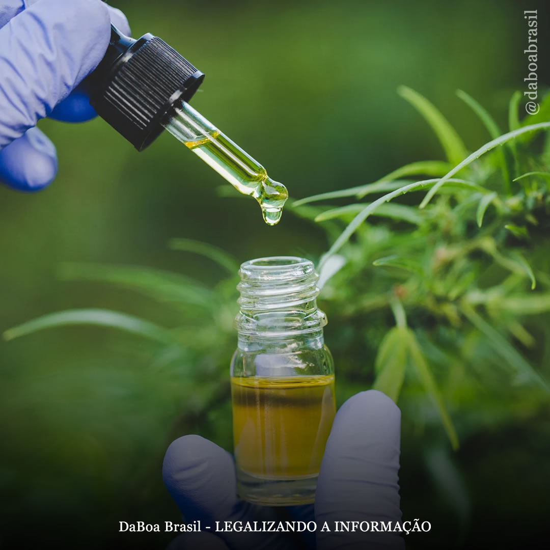 Seis empresas de CBD são processadas por publicidade enganosa nos EUA