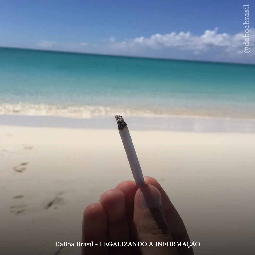 As pessoas fumam mais maconha durante o verão e o outono, diz estudo