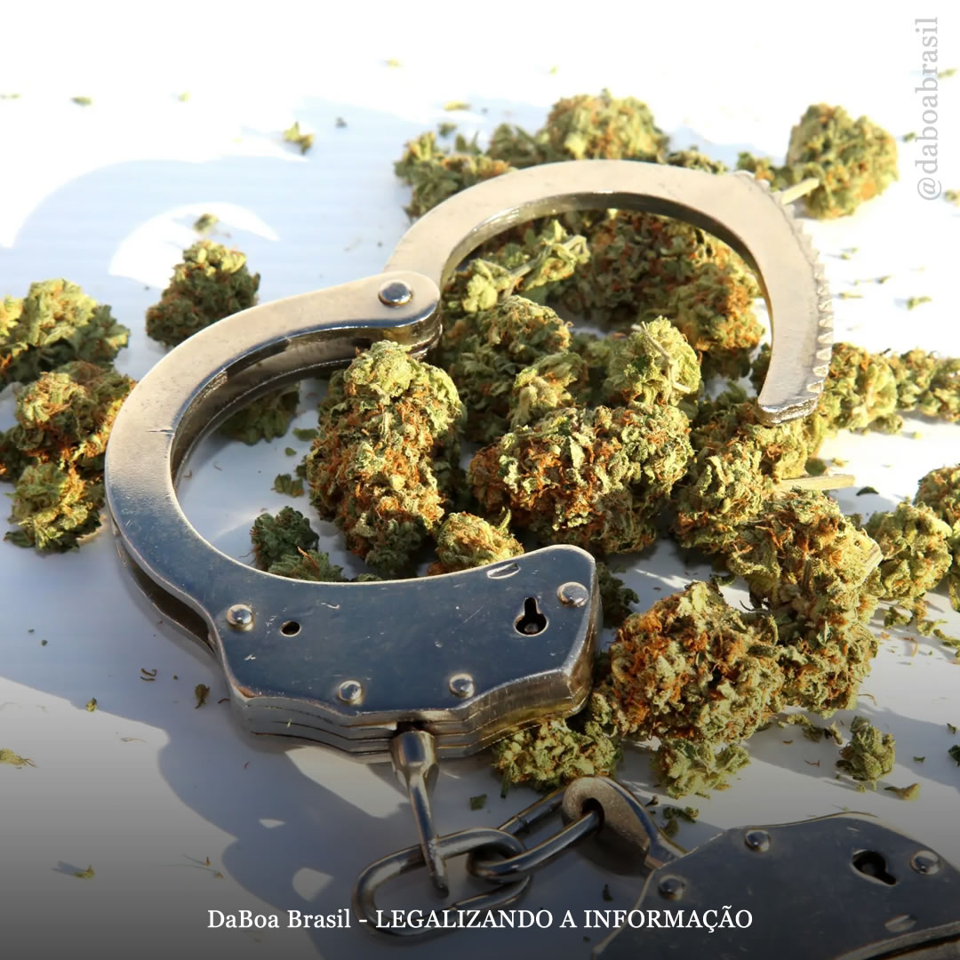 Condado de Illinois perdoa 1.600 crimes relacionados à maconha