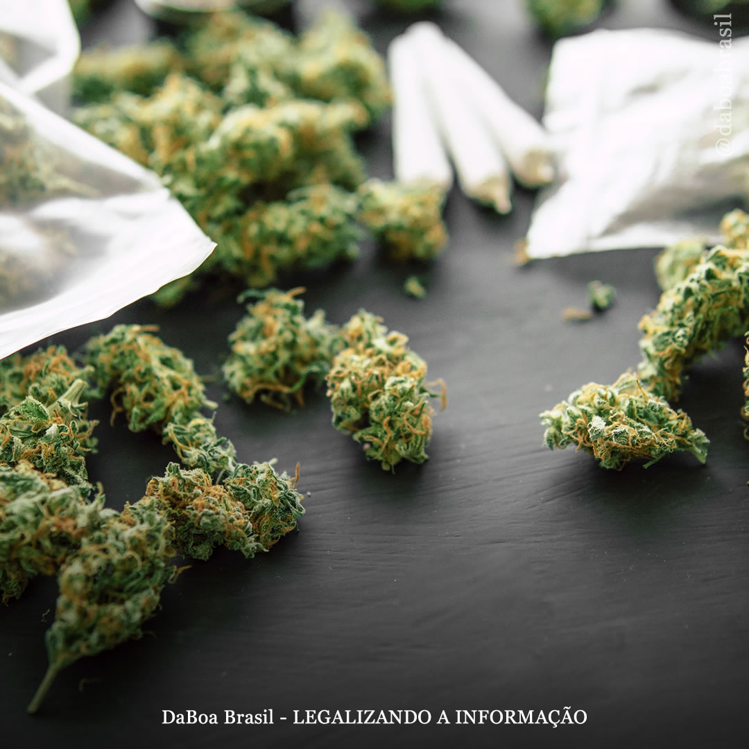 EUA: ativistas vão distribuir maconha gratuitamente para quem tomar vacina