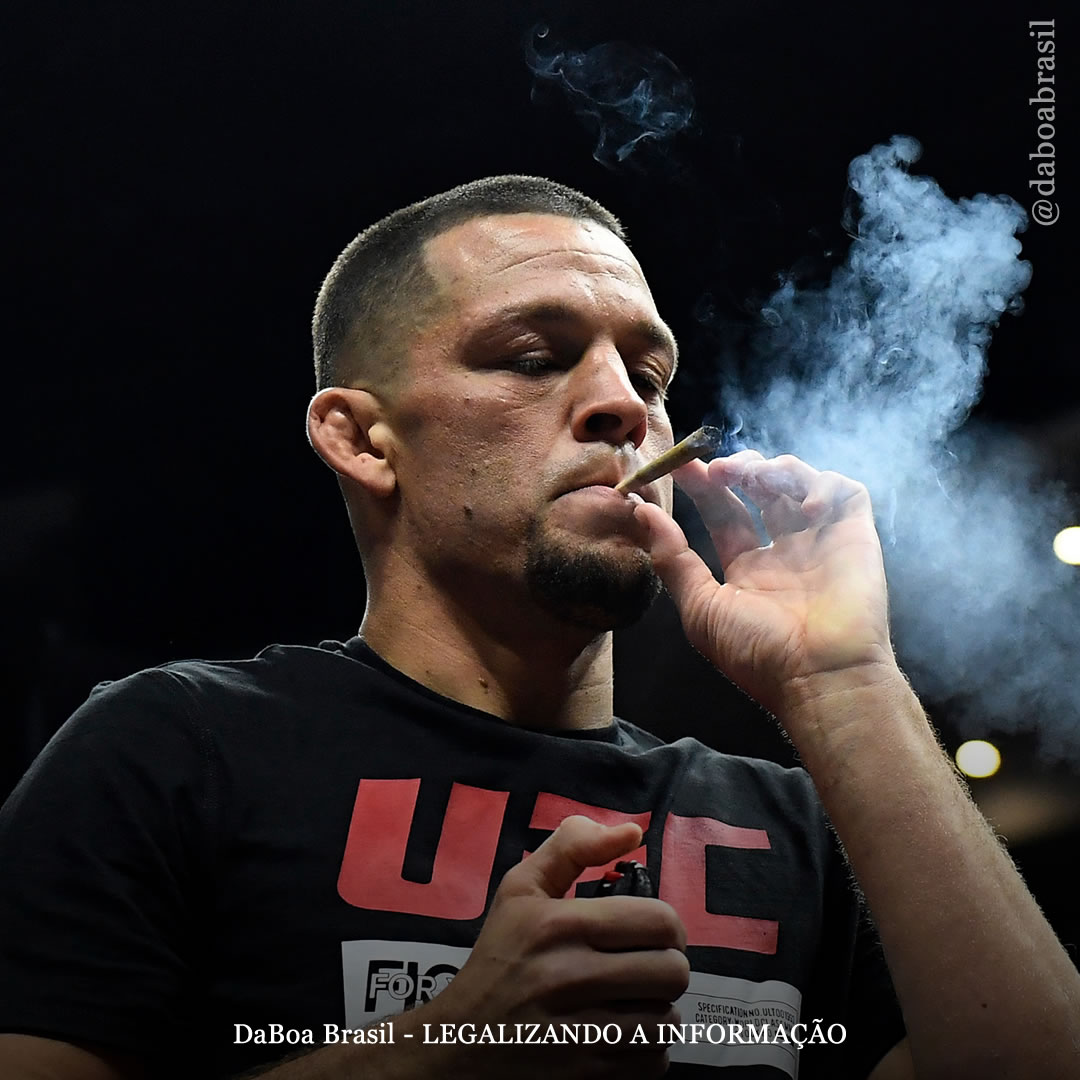 UFC permite o uso de maconha entre lutadores