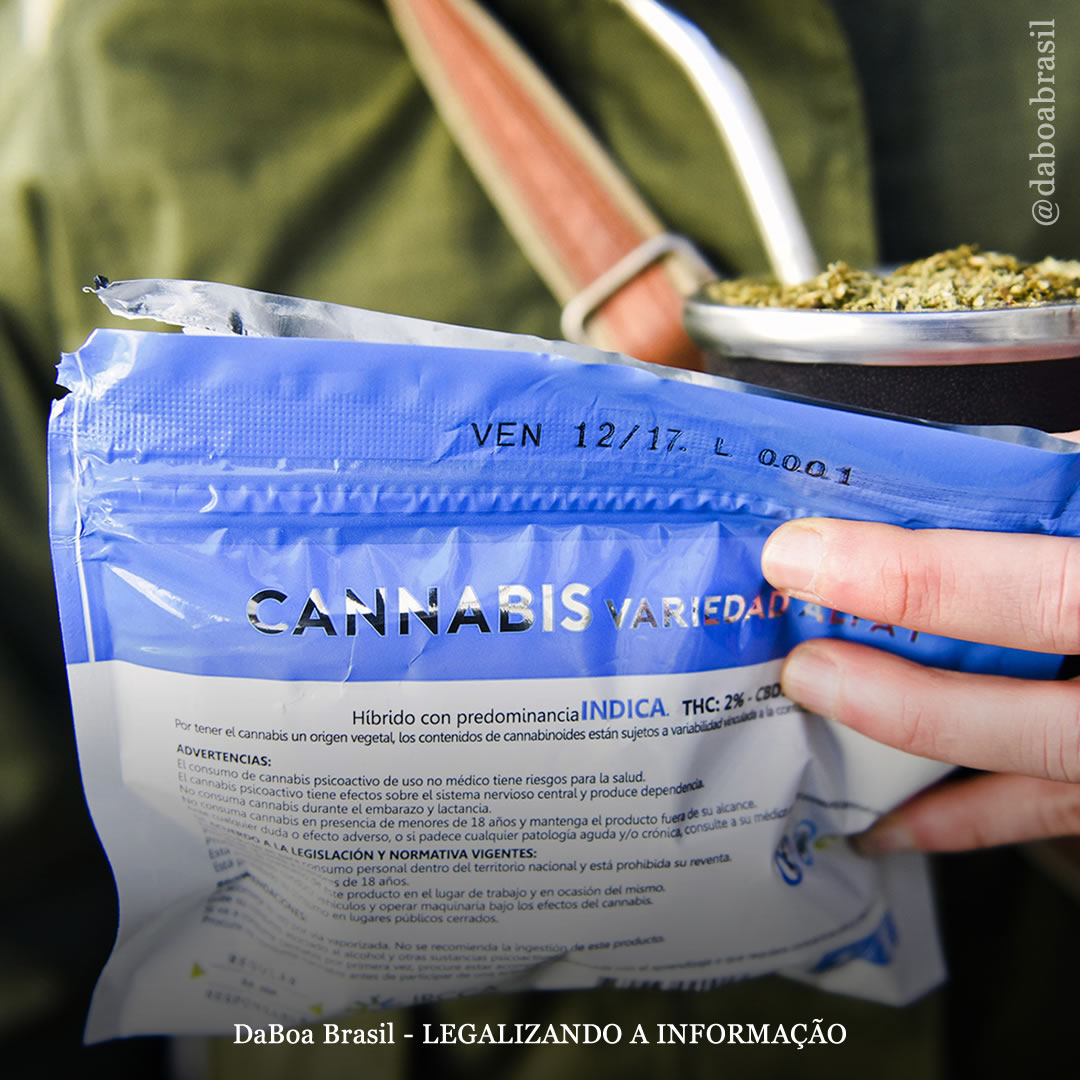 Uruguai liquida em horas todo seu estoque de maconha legal