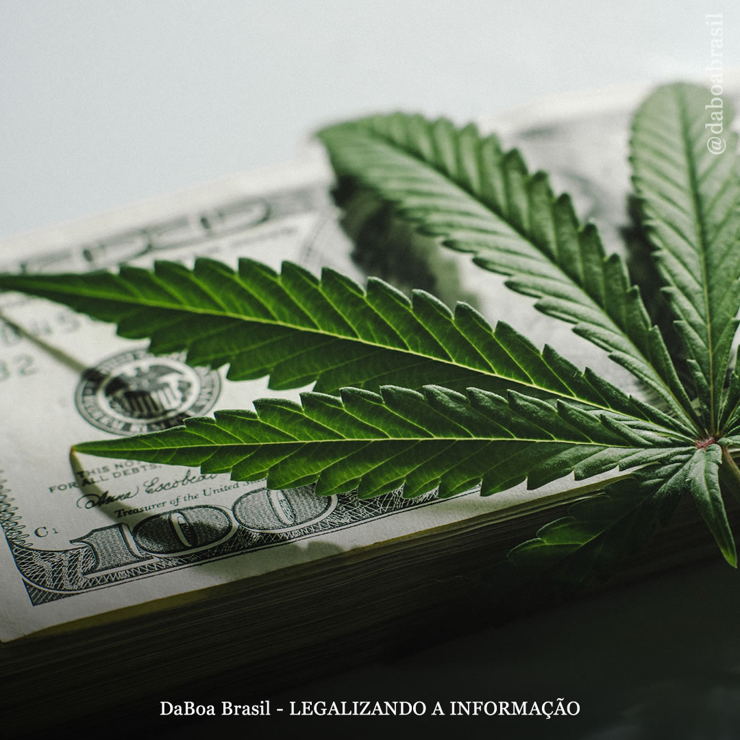 EUA: Illinois arrecada US $ 205 milhões em impostos sobre a maconha no primeiro ano de vendas legais