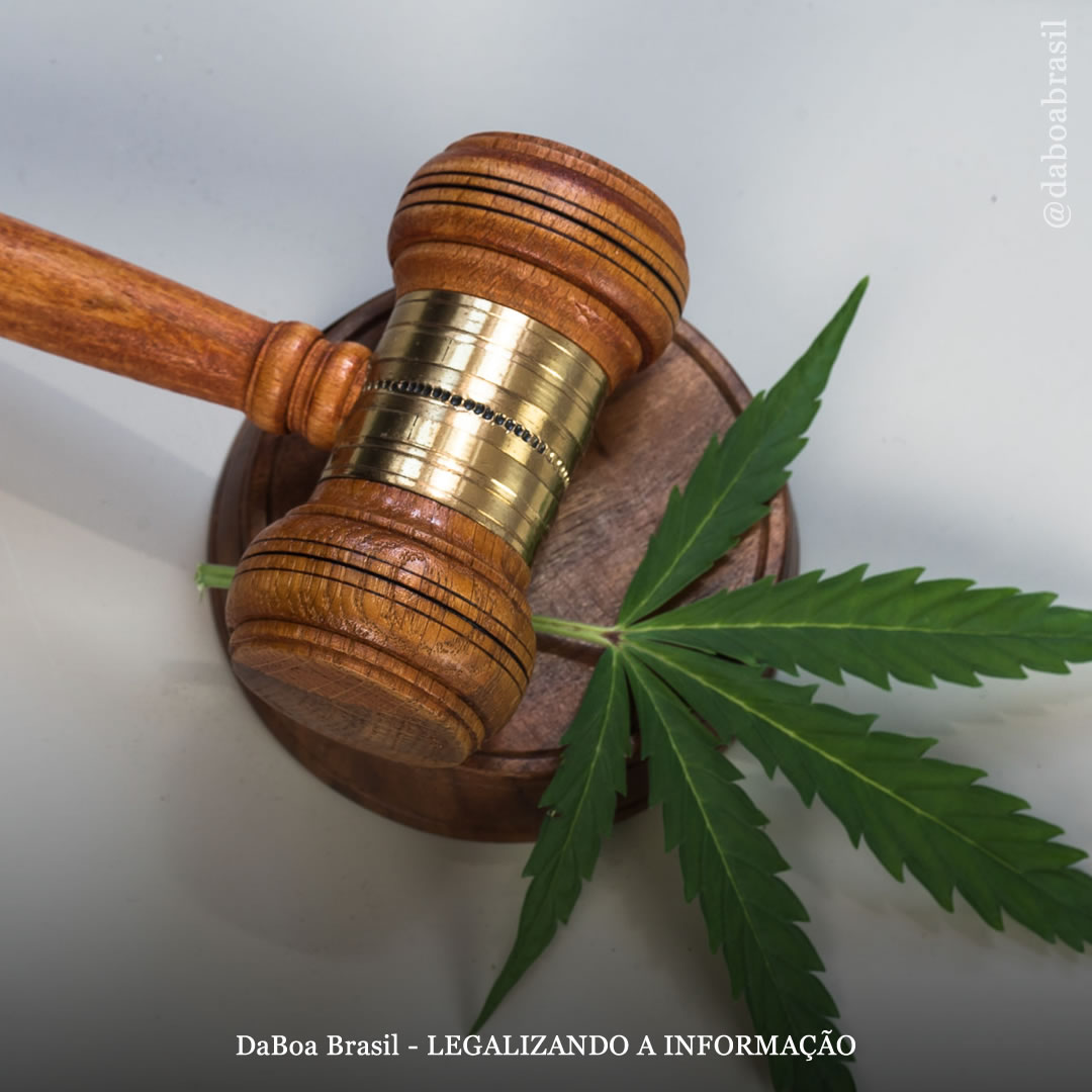 EUA: membros do Congresso pedem a Biden o perdão de todos os presos por maconha