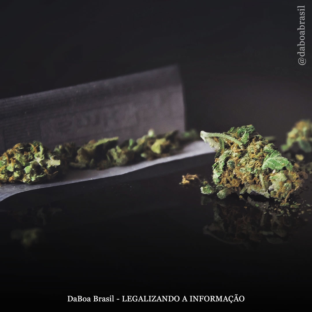 Fumar maconha pode auxiliar na melhora da colite ulcerativa, diz estudo