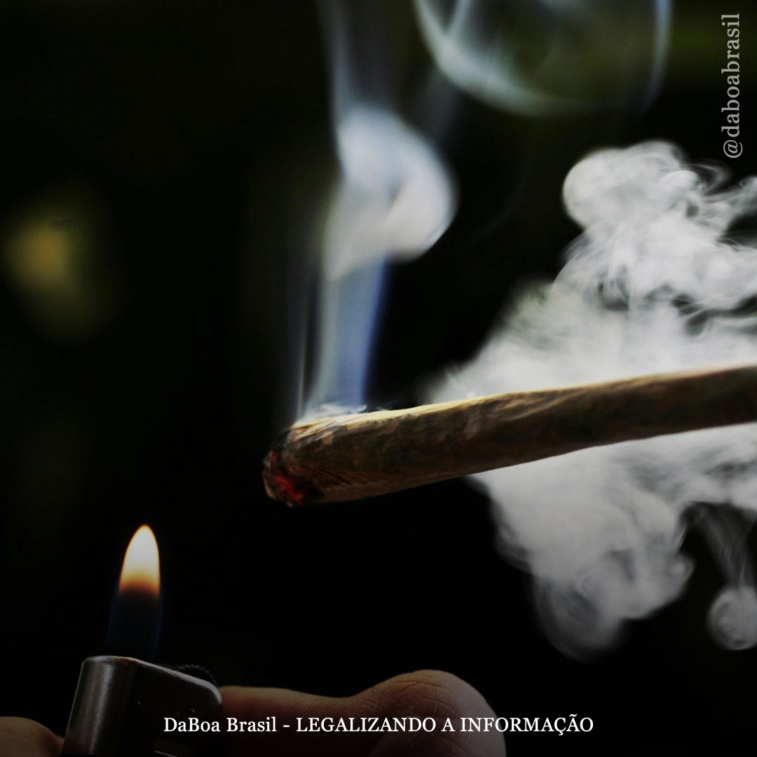 Mais usuários de maconha do que de tabaco na Pesquisa Global de Drogas