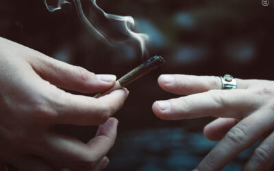 Redução de Danos: como parar de fumar maconha?