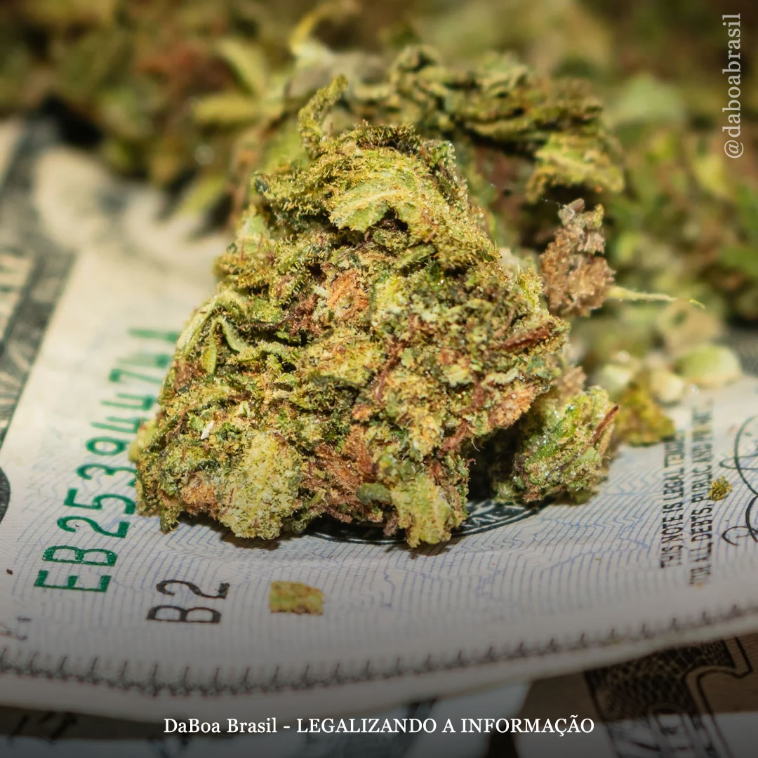 Colorado vendeu mais de US $ 187 milhões em maconha legal em janeiro