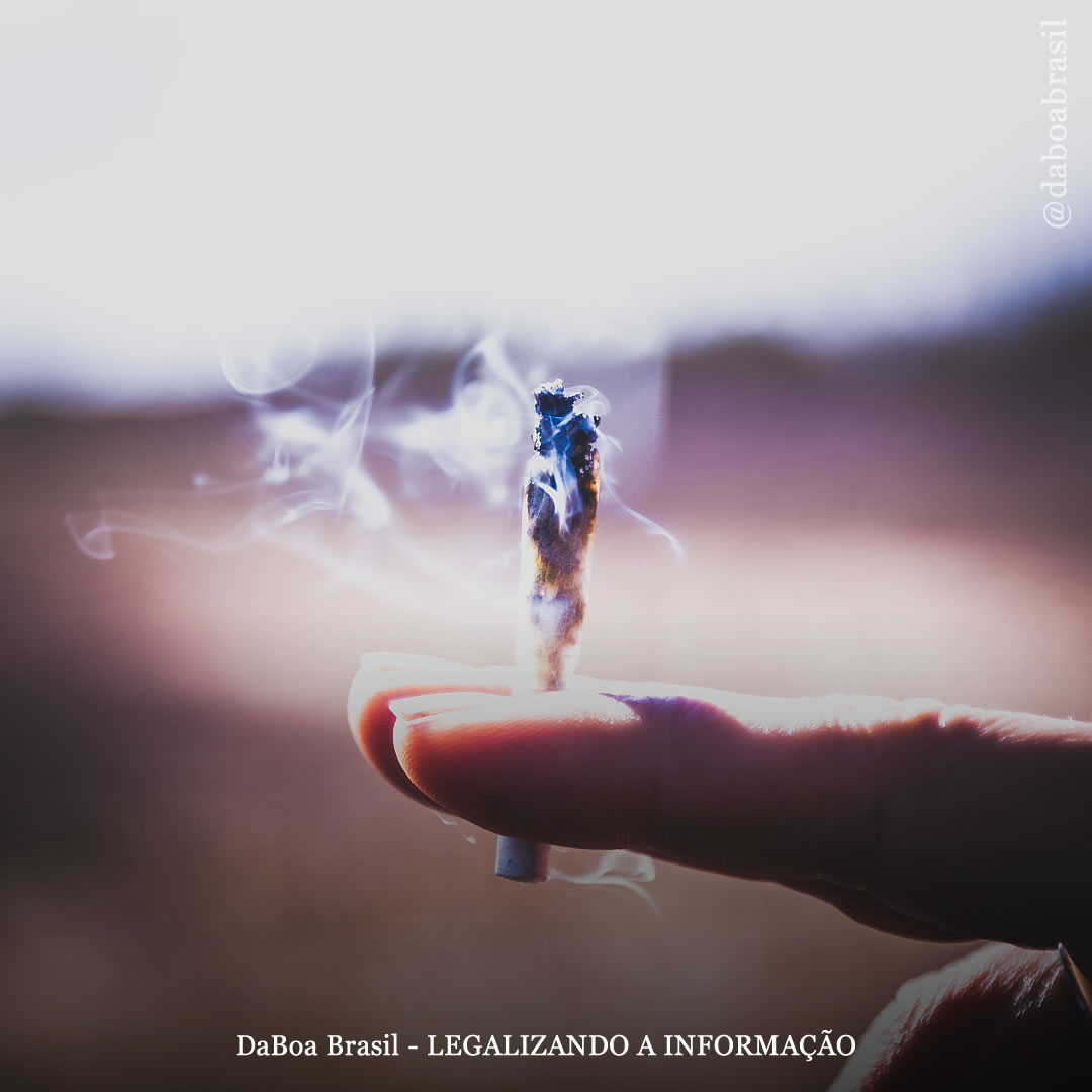 Por que a maconha afeta cada pessoa de maneira diferente?