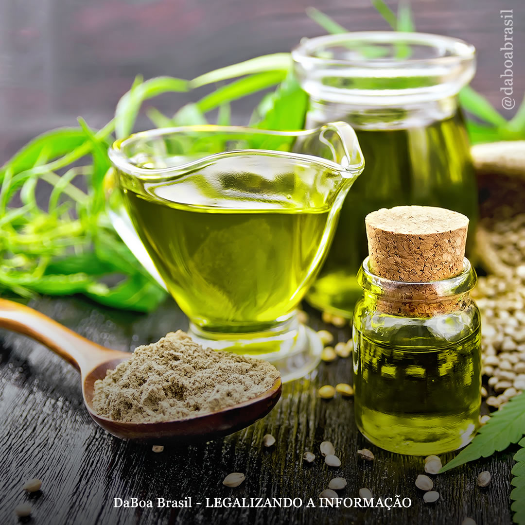 Um artigo analisa os usos antigos e modernos da cannabis como alimento