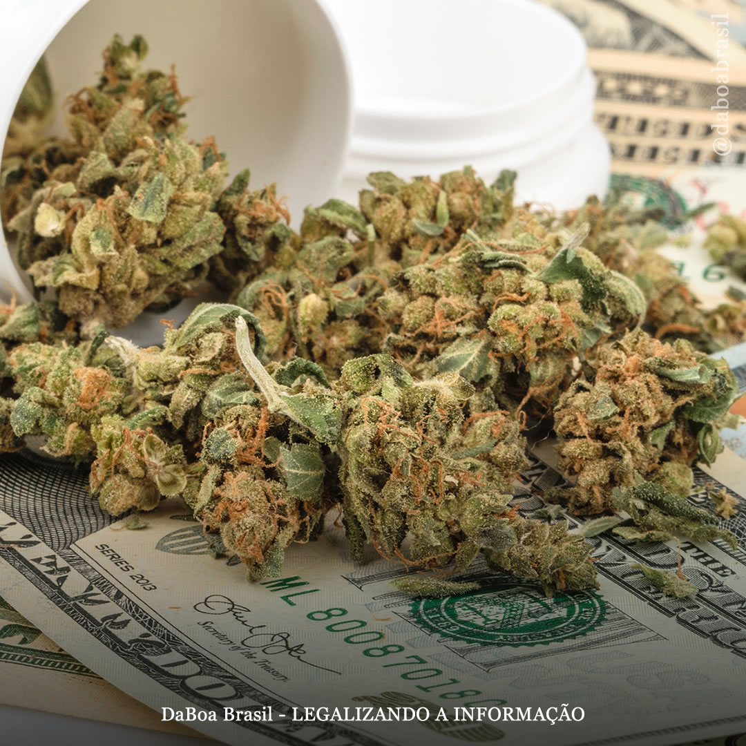 EUA: Illinois arrecadou mais com a venda de maconha do que com o álcool