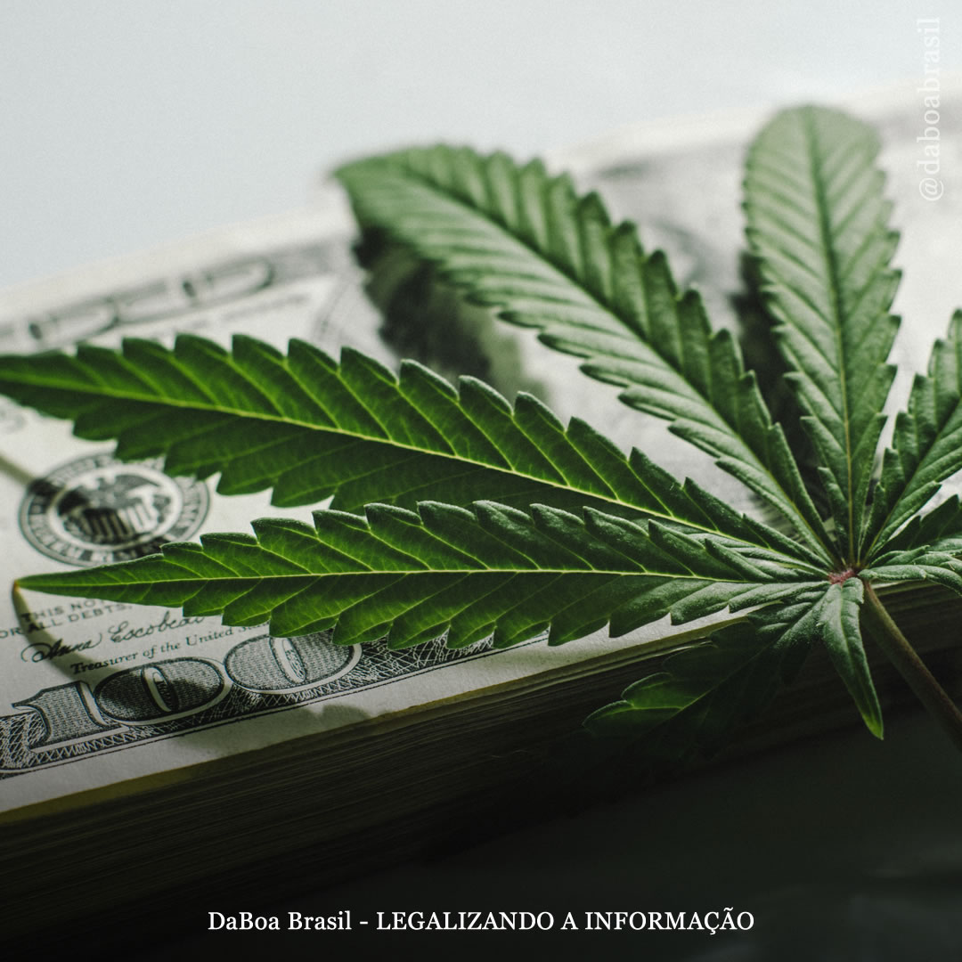 EUA: alerta para a criação de um lobby no mercado canábico formado pelo setor do álcool e do tabaco