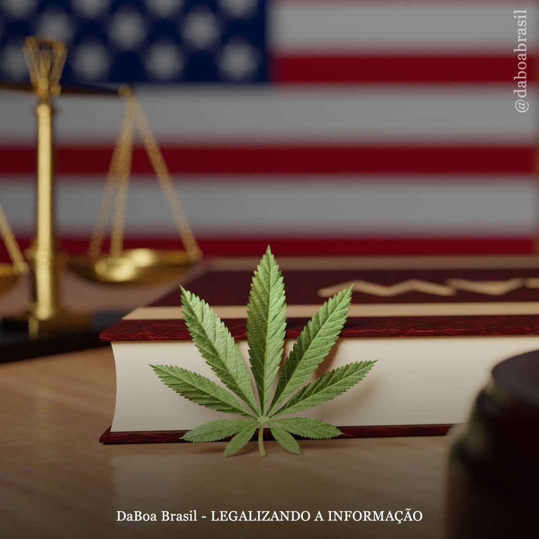 Modelo de legalização da maconha em Nova York foi inspirado no Colorado