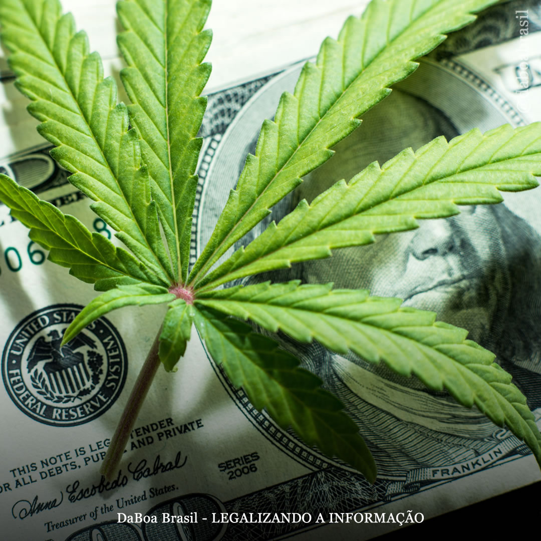 Colorado vendeu mais de meio bilhão de dólares em maconha legal nos primeiros três meses de 2021