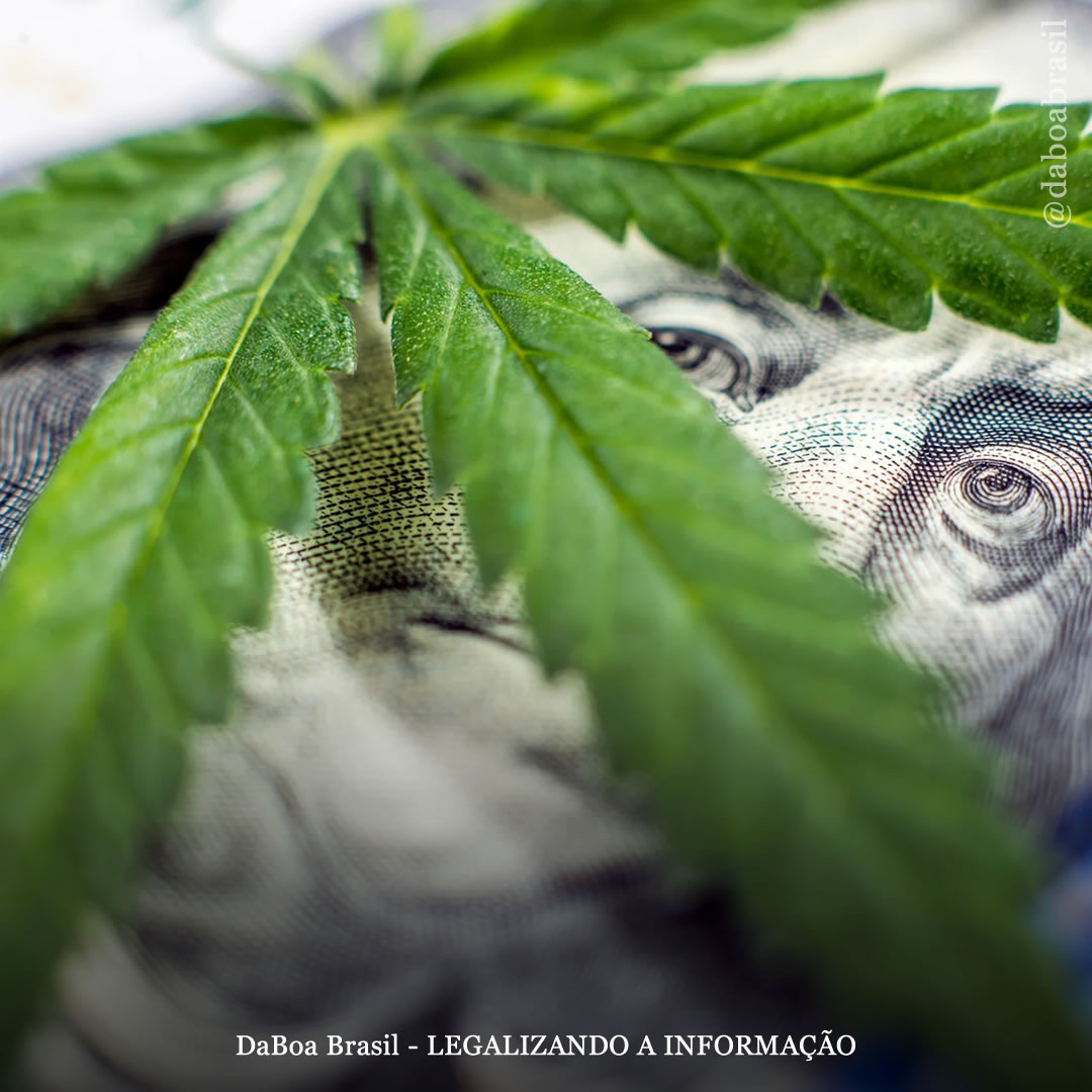 Governador de Washington assina projeto de lei de equidade social para a maconha