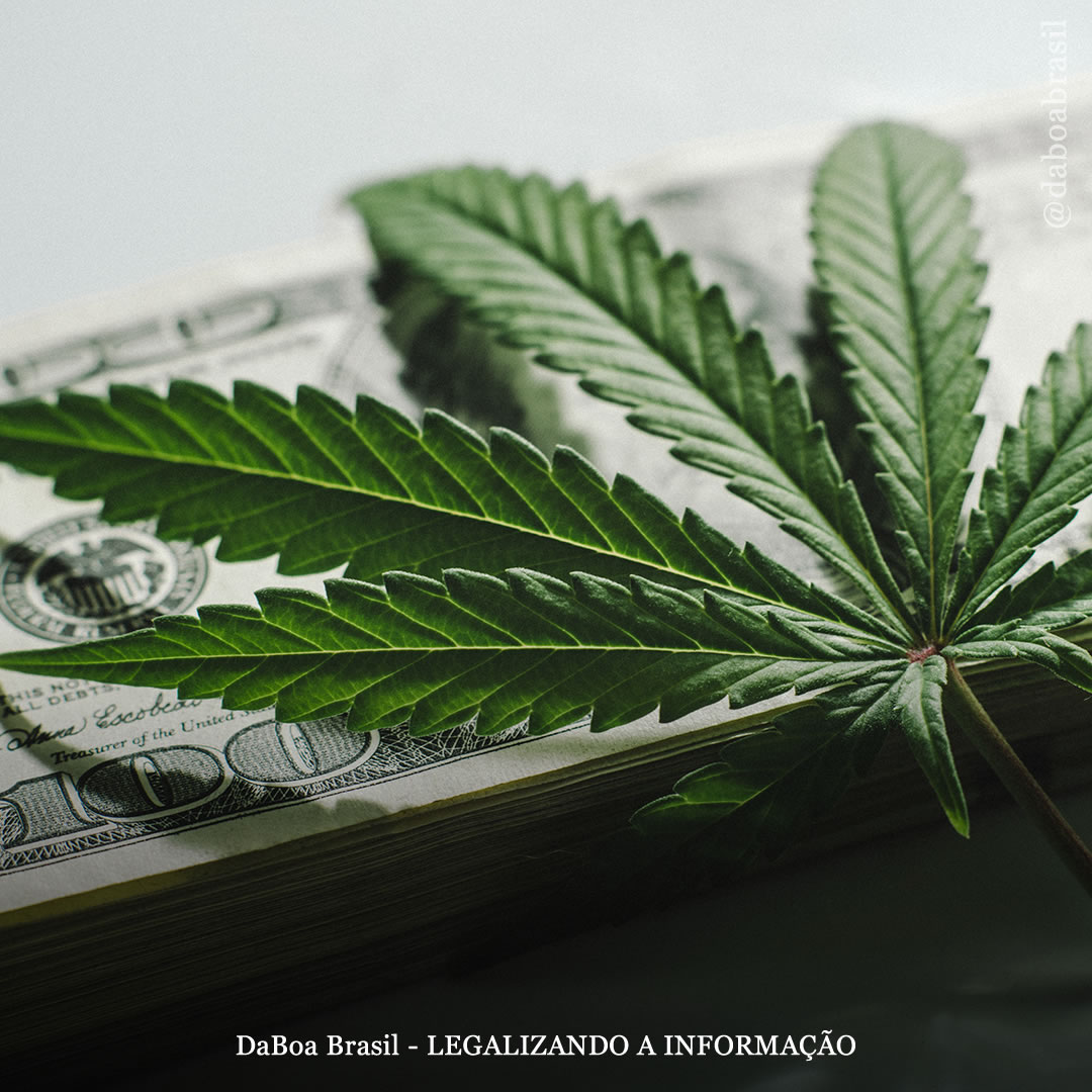 EUA: Illinois quebra mais um recorde de vendas de maconha para uso adulto