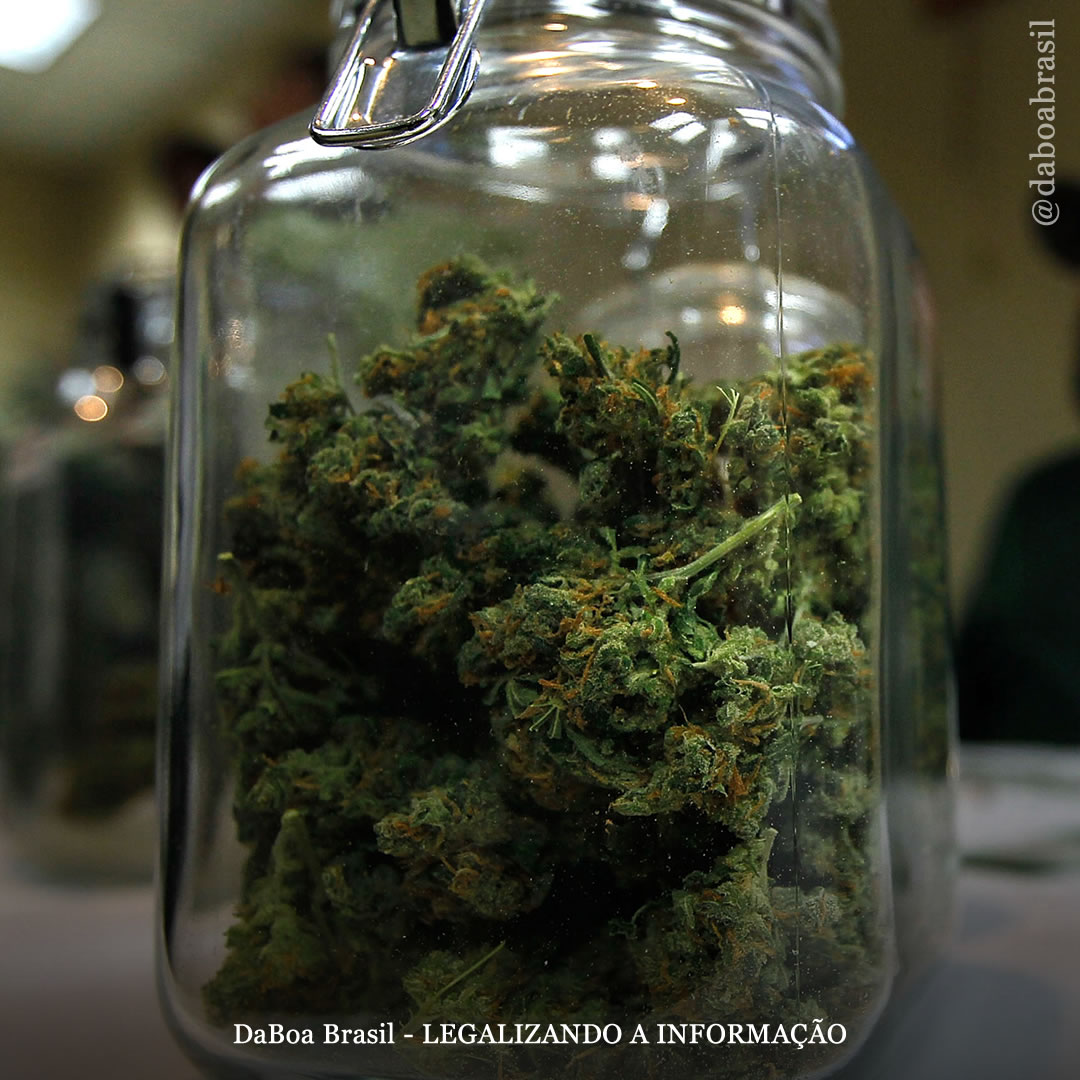 Governador do Colorado assina projeto de lei para dobrar limite de posse de maconha e pede revisão de perdões