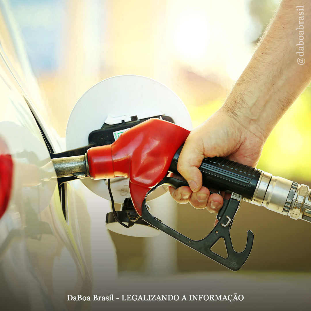 Biocombustível de cânhamo: uma resposta à crise ecológica?