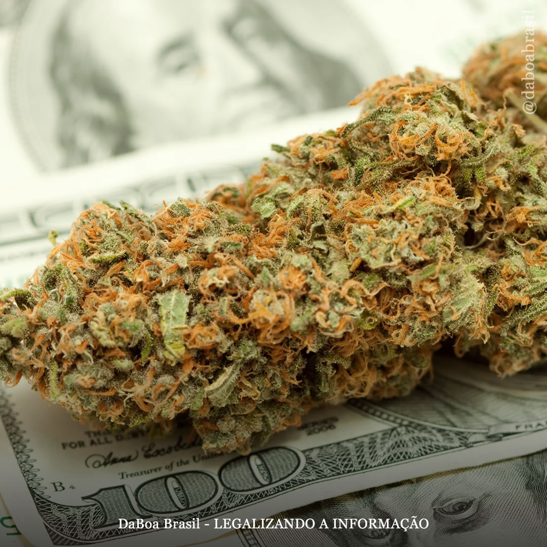 Califórnia usa imposto da maconha para financiar programas de reparação aos danos da guerra às drogas