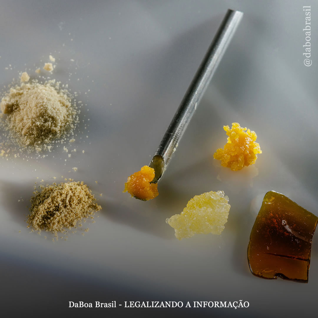 EUA: Colorado limita as compras de concentrados de maconha e impõe restrições ao programa medicinal