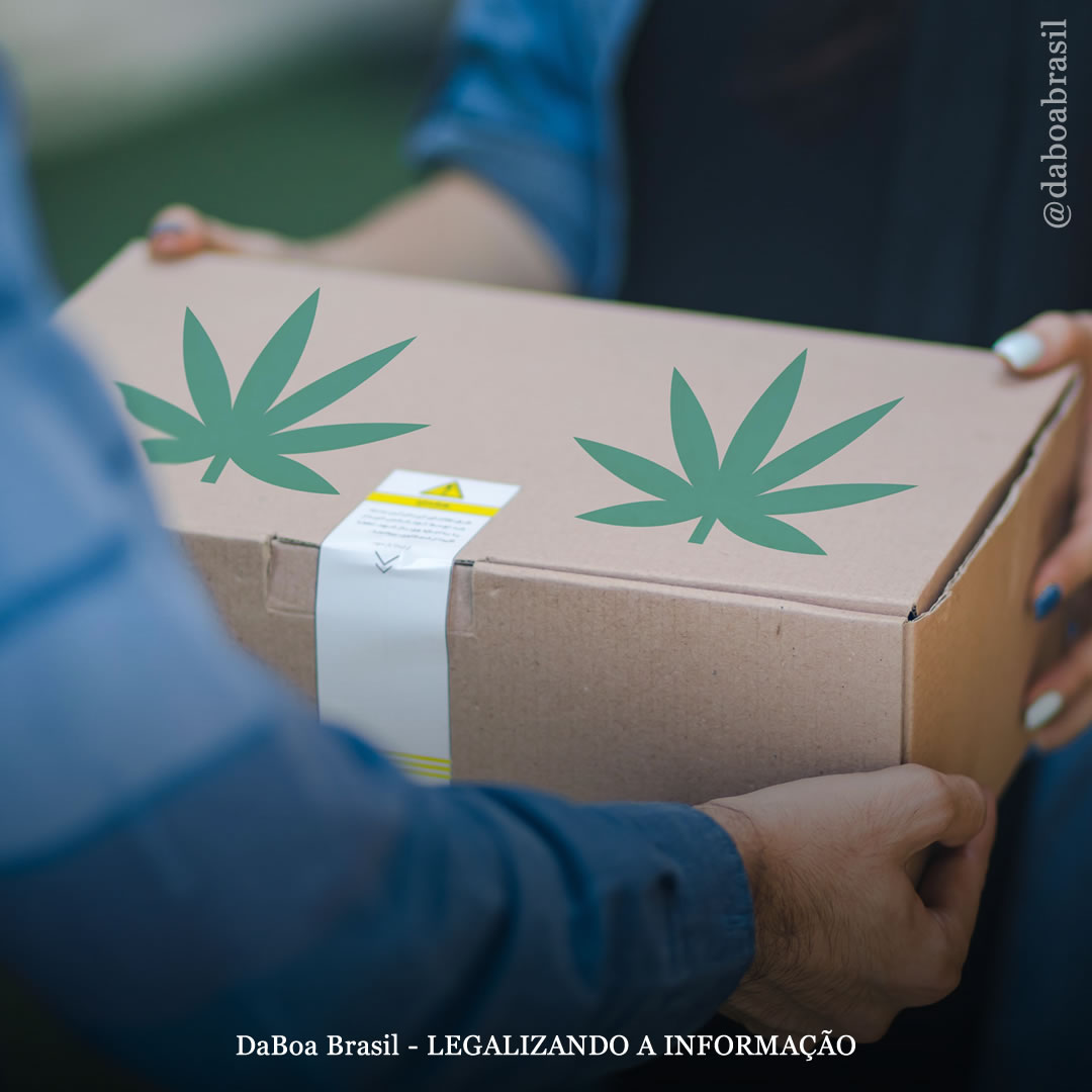 Uruguai planeja implementar delivery de maconha para usuários