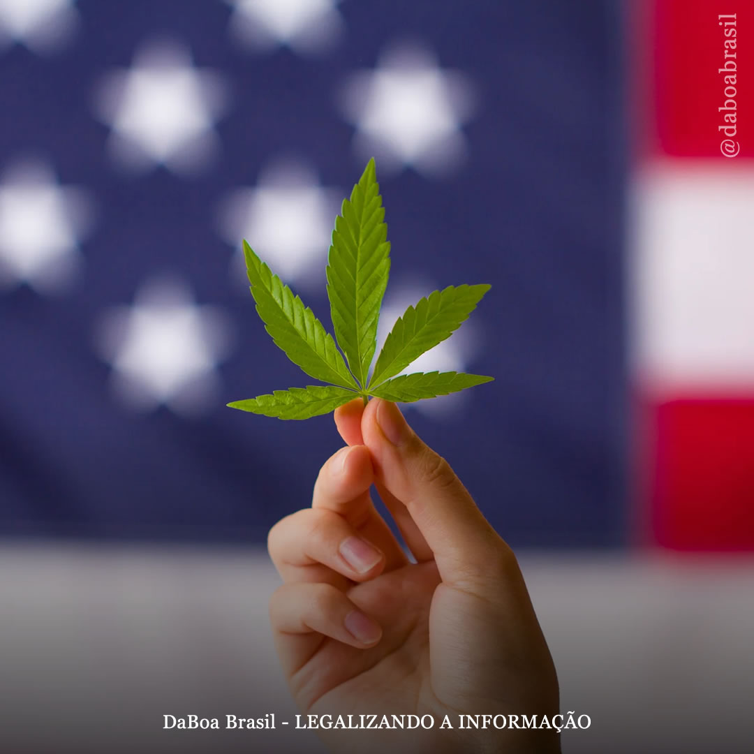 EUA: Biden escolhe um defensor da maconha como chefe do Escritório Nacional de Controle de Drogas