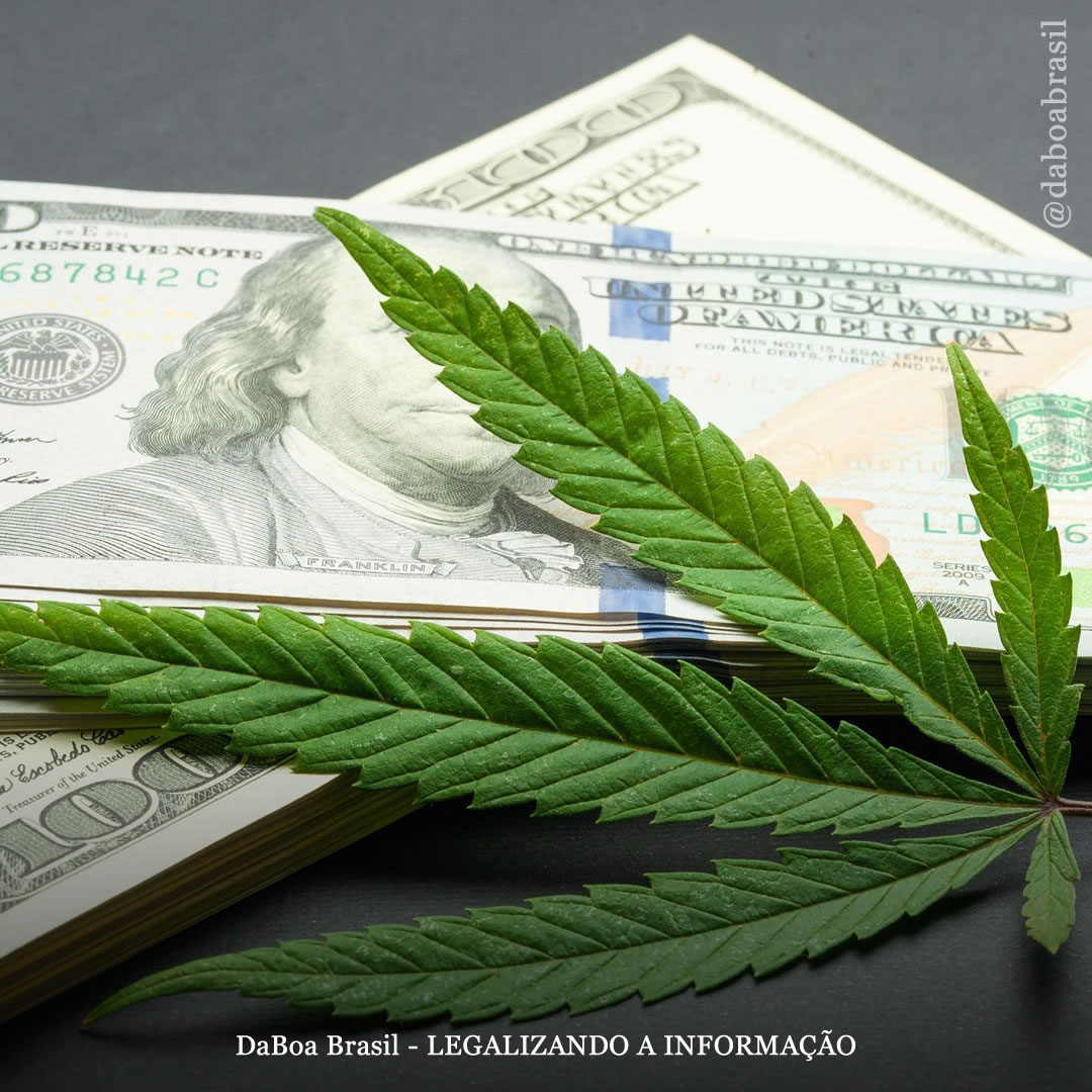 Illinois destinará US $ 3,5 milhões das vendas de maconha legal para reduzir a violência nas ruas