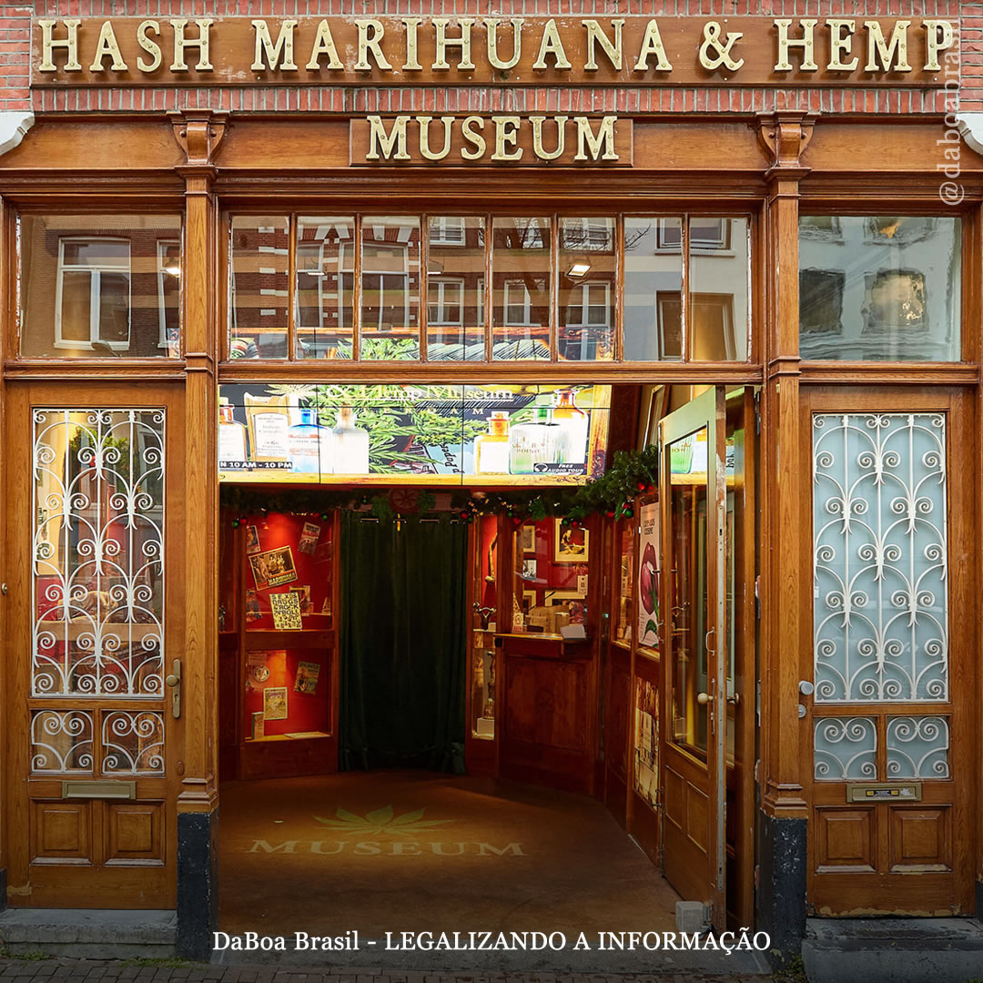 Viaje sem sair de casa: faça uma visita virtual ao Hash Marihuana and Hemp Museum em Barcelona
